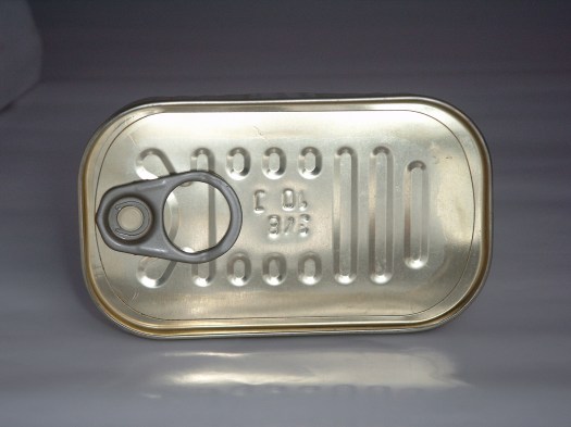 Samsung  DIGITAL CAMERA