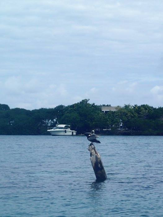 Paraiso sin control Xiomara Spadafora